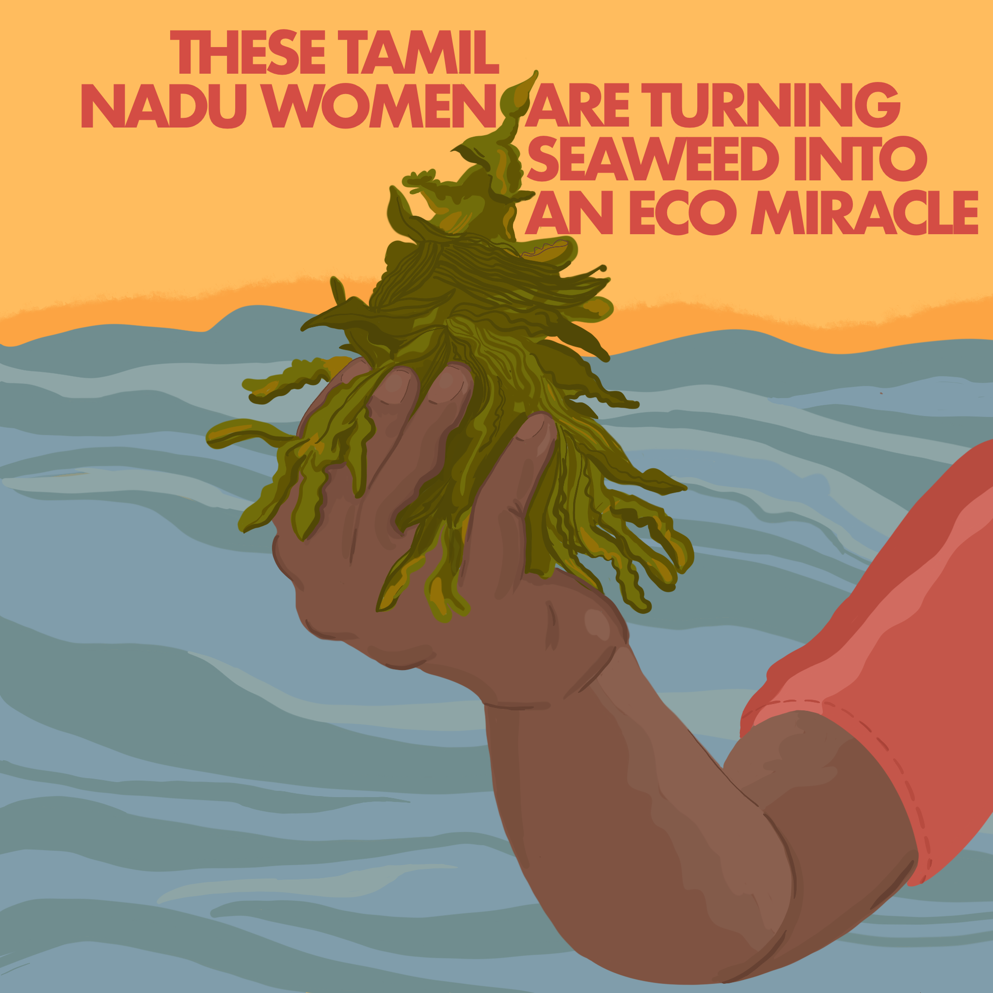 These Tamil Nadu Women Are Turning Seaweed into an Eco Miracle